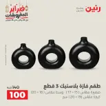 Raneen Egypt Offers from 24 to 25 February 2026 Decorative pieces offers - Page 40