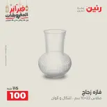 Raneen Egypt Offers from 24 to 25 February 2026 Decorative pieces offers - Page 31