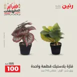 Raneen Egypt Offers from 24 to 25 February 2026 Decorative pieces offers - Page 45
