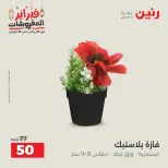 Raneen Egypt Offers from 24 to 25 February 2026 Decorative pieces offers - Page 51