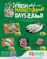 Lulu  Riyadh, Hail, Al Kharj and Unayzah  Offers from 22 to 24 February Fresh Market Deals - Page 3