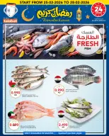 Offres Al Nasser Hypermarchés Koweït de 25 à 28 février 2026 Offres Ramadan Kareem