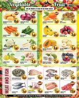 Offres supermarché Dream Land Émirats arabes unis de 27 février à 5 mars 2026 Offres Ramadan - supermarché Dream Land - Émirats arabes unis - 27 fevrier 2026 – 5 mars 2026 - Page 2