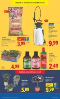 Ofertas de Lidl España de 2 a 8 marzo 2026 ofertas semanales