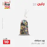 Raneen Egypt Offers from 1 to 2 March 2026 Decorative pieces offers - Page 45