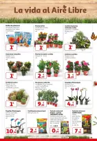 Offres Alcampo Espagne de 26 février à 11 mars 2026 2ème Unité -50%