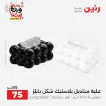 Raneen Egypt Offers from 1 to 2 March 2026 Gifts and Decorations Offers - Page 49