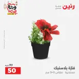 Raneen Egypt Offers from 3 to 4 March 2026 Gifts and Decorations Offers - Page 50