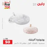 Raneen Egypt Offers from 3 to 4 March 2026 Gifts and Decorations Offers - Page 42