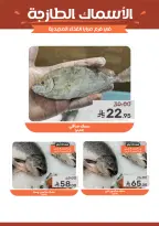 Ofertas de Alimentos Mazaya Arabia Saudita de 4 a 10 marzo 2026 Ofertas de Ramadán - Página 8