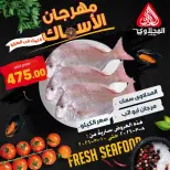 El Mahlawy market Egypt Offers from 8 to 10 March 2026 Seafood Festival