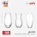 Raneen Egypt Offers from 10 to 11 March 2026 The 50 EGP Offer - Page 34
