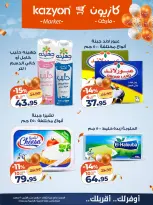 Kazyon Market Egypt offers from 10 to 16 March 2026 Surprise Price Offers - Page 14