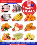 Safari hypermarket Qatar offers Friday 13 March 2026 Daily Deals