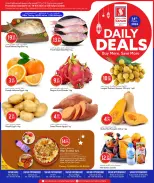 عروض سفارى هايبر ماركت قطر السبت ١٤ مارس ٢٠٢٦ صفقات يومية