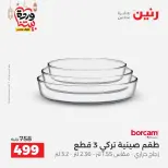 Offres Raneen Egypte de 15 à 16 mars 2026 Offres d'appareils de cuisine