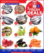 Safari hypermarket Qatar offers Sunday 15 March 2026 Fresh deals