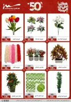 Al Morshedy Egypt offers from 15 to 19 March 2026 Mother's Day offers