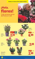 Ofertas de Lidl España de 16 a 22 marzo 2026 ofertas semanales