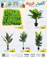 Ramez Markets Saudi Arabia offers from 16 to 22 March 2026 Eid Delight Offers