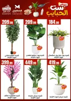 El Mahlawy Stores offers in El Matareya from 19 to 25 March 2026 Mother's Day offers