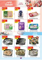 Danube offers in Central Region from 18 to 31 March 2026 Eid Mubarak Offers