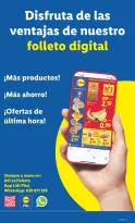 Lidl Spain offers from 23 to 29 March 2026 Bazaar Deals