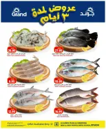 Grand Hypermarket offers in Al Mansoura from 22 to 24 March 2026 3Days Deals