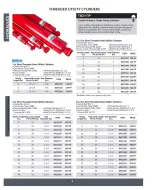 Princess Auto Canada offers from 16 April 2025 to 16 April 2026 Hydraulics Deals