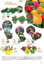 Offres Mr.Bricolage France de 19 mars à 5 avril 2026 SPÉCIAL RÉVEIL DU JARDIN