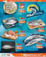 Lulu offers in Jeddah, Yanbu, Khamis Mushait, Tabuk from 25 to 31 March 2026 4 Big Days