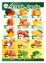 Al Madina Hypermarket Saudi Arabia offers from 25 to 31 March 2026 End of month savings