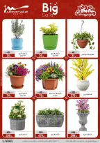 عروض أسواق المرشدى مصر من ٢٥ حتى ٣١ مارس ٢٠٢٦ عروض أدوات منزلية