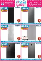 Center Shaheen Egypt offers from 25 March to 1 April 2026 Mother's Day offers