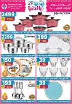 Center Shaheen Egypt offers from 25 March to 1 April 2026 Mother's Day offers