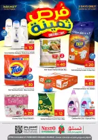 Nesto offers in Shaqra, Majmaah from 26 to 29 March 2026 Valuable opportunities