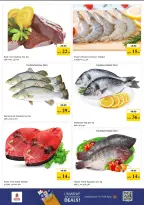 عروض نستو هايبر ماركت الجميرا من ٢٦ حتى ٢٩ مارس ٢٠٢٦ انفجار العروض الضخمة