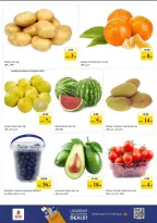 عروض نستو هايبر ماركت الجميرا من ٢٦ حتى ٢٩ مارس ٢٠٢٦ انفجار العروض الضخمة