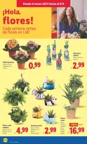 Ofertas de Lidl España de 30 marzo a 5 abril 2026 ofertas semanales