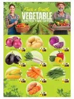 Ir a la pagina 5 de 16