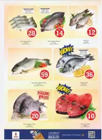 الانتقال إلى الصفحة 17 من 29