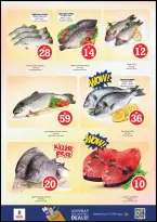 الانتقال إلى الصفحة 16 من 34