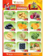 الانتقال إلى الصفحة 24 من 24