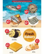 الانتقال إلى الصفحة 4 من 11