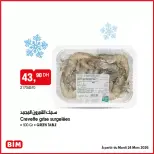 الانتقال إلى الصفحة 9 من 10