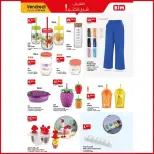 الانتقال إلى الصفحة 3 من 4