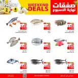 الانتقال إلى الصفحة 4 من 4