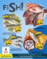 الانتقال إلى الصفحة 1 من 1