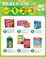 الانتقال إلى الصفحة 4 من 13