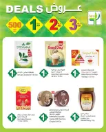 الانتقال إلى الصفحة 2 من 13